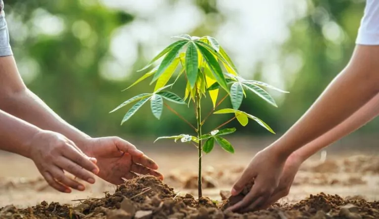 茂鴻電力太陽能板永續經營-與雲道咖啡合作推出「啡躍綠電，永續光能」