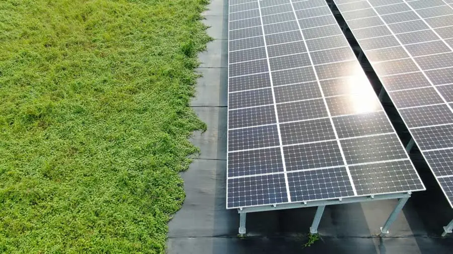 善化967.968鴻經能源03-A3